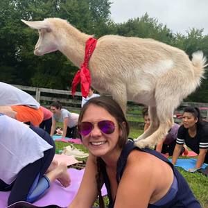 Meet your Posher, Rachel